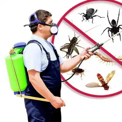 pest control Mansfield
